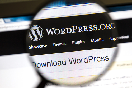 Guida alla scelta del servizio hosting per un sito WordPress
